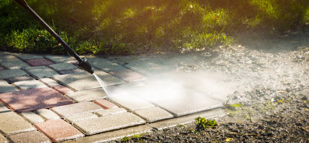 Best Patio and Deck Pressure Washing  in Wapello, IA